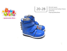 ������ ������� 6