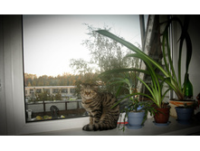 ����������� 038.jpg