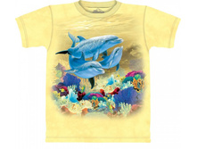 Productvar 38366.jpg