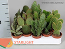 ������� (20) 395.00