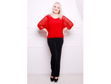 ����� CI �����