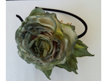 2016-04-28 11.22.49[1].jpg