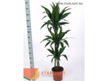 ������� ������ ����� (150) 3 550.00