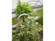 ��������� ������ ����. ������ � OBI ��� ���� ����� ��� ������ ��������� ��������