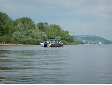 DSCN1444.JPG