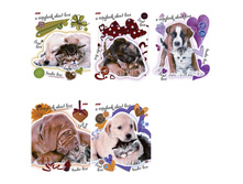 ������� 48�. �5 ������ ������ ������ 17,62.jpg