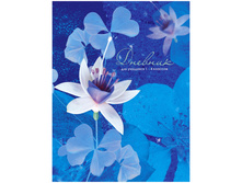 ������� 1-4 ��. 48�. (�������) ������� �����, ������� ���������, �̣���� 46,53.jpg