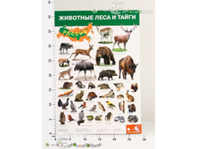 ���2687 ������ �������� ���� � ����� 2687 25,67.jpg