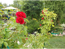 ��������� ����������