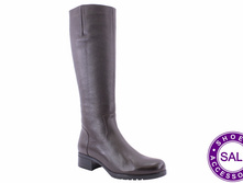 0699-5 fl ev (1).JPG