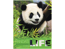 ������� 5-11 ��. 48�. (�������) �����, ��������� ��������� 32,55.jpg