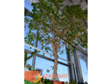 ����� (230) 30 348.00