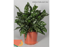 ��������� ����� (60) 1 995.00