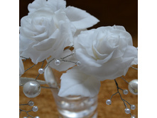 ������� ��� ����� "����� ����"