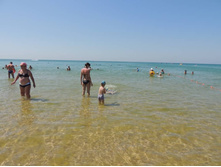 ���� ���� � ����