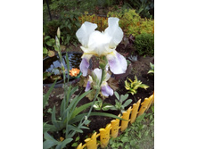 IMG 20160611 131840.jpg