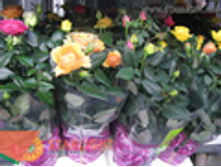 ���� ����� (40) 455.00