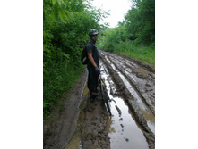 50� �� �������