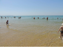 ���� ���� � ����