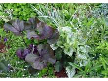 ��������� �������� ���� ���� �������� � �������� ���� �����