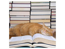 ����� �� ������