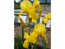 ���� ���������� ������ ����. 110