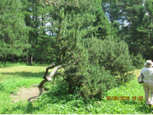 IMG 3331.JPG