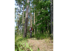 ��������  (66).JPG