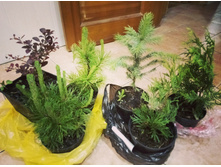 ���������