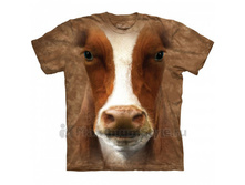 Productvar 54533.jpg