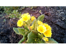 7c26e760d8a7ac255d9717ea1014df4dc0a9552416eab1e18b53cf02538db4ca — �����.jpg