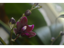 ���� (3).JPG