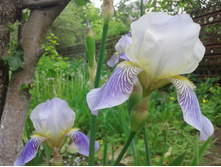 ���� ����-��������� (�ϣ ����)