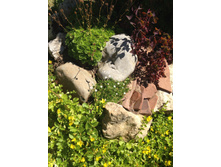 ������, ��������� ����������, ���������� ������� ( ������ �����)