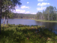 IMG 20160618 142949.jpg