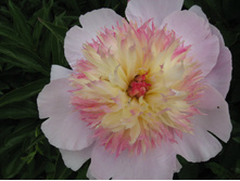 ��������� �������