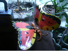 ������� ������� ��������� - ������������ ��������� ��� ���� � ����. ���. ����.JPG