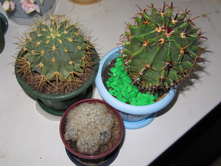 ���). �� ���������)).