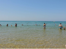 ���� ���� � ����