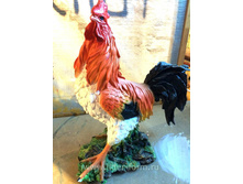 ��-139 ����� ������� �-60�� 2000,00 �.jpg