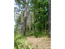 ��������  (68).JPG