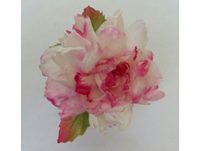 2016-04-28 11.25.53[1].jpg