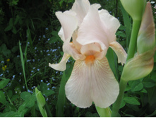 ������-�������, 100 �.