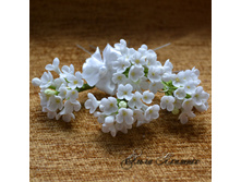 �������� ��������� ������ ������ "����� ������"