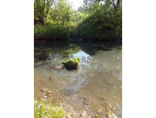 IMG 20160604 160844.jpg