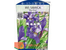 ���� ��������� ��� ���� (30) 295.00