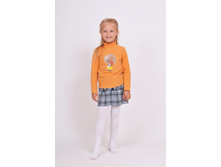 Phoca thumb l 1-657 1-625.jpg