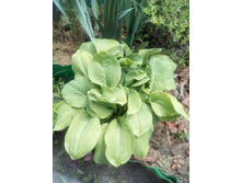 IMG 20160528 121550.jpg