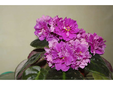 �� ����.jpg