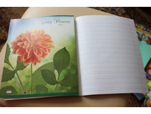 ����� ����� 12 � 8 �. 2 ��